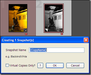 Snapshotter plugin main dialog