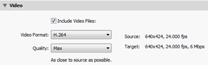 Video publish/export options